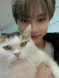 junhui 