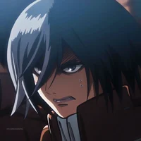 Mikasa