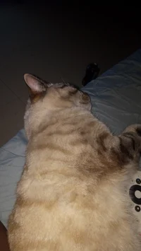 Abusive relationship