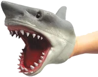 Sharkey boi