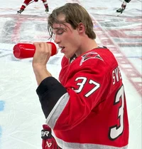 Andrei Svechnikov