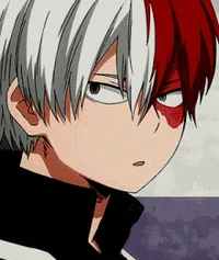 -Shoto Todoroki- 