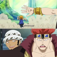 Luffy Law Kid