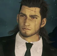 Gladiolus Amicitia