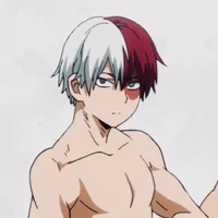 Shoto Todoroki