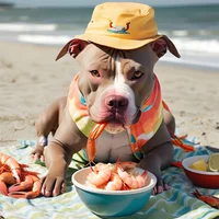 beach dog
