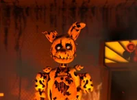 The Afton Experience