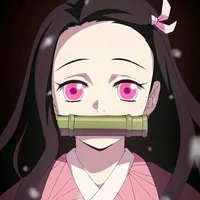 Nezuko 