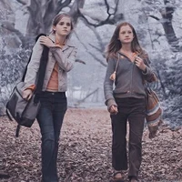 Hermione and Ginny
