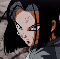 Android 17