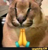 -South Park Cat POV-