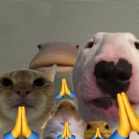 -South Park Cat POV-