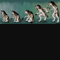 Wolf to werewolf tf