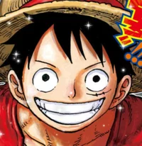 L Monkey D Luffy
