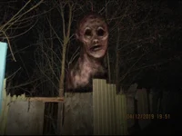 Heyman stop a minute