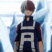 Shoto Todoroki 