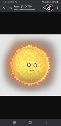 Sun