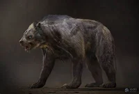 Mutated bear
