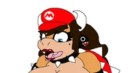 Koopa Queen Mario