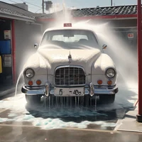 Wash Ooka