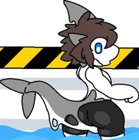 Human Shark Transfur