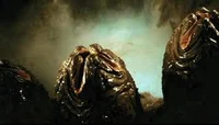 Xenomorph eggs