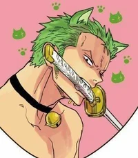 Roronoa Zoro 