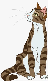 LeafPool