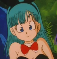 Bulma Brief