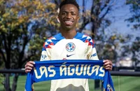 Vinicius americanist