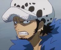 Law