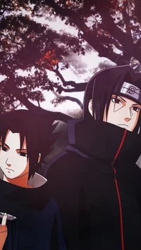 Itachi and Sasuke 