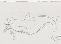 Dolphin -vore-