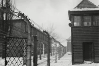 Auschwitz 