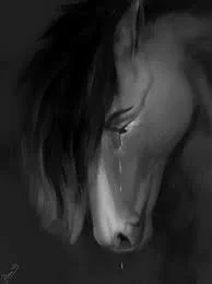 Crying horse