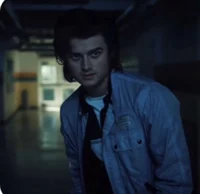 Steve Harrington 