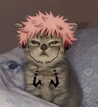 Ryomen Sukuna neko