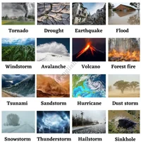 disasters VS you