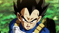Vegeta 