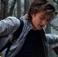 Steve Harrington 
