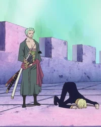 Zoro and Sanji