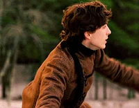Regulus Black