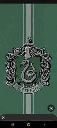 Slytherin boys