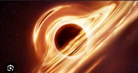 The black holes