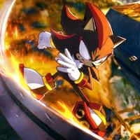 Shadow T hedgehog