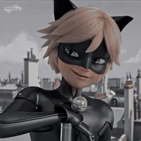 Cat noir 