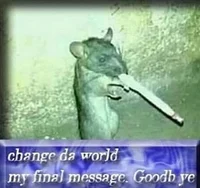 Smoking Rat