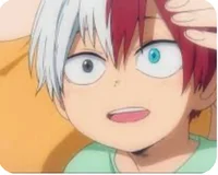 Child Todoroki