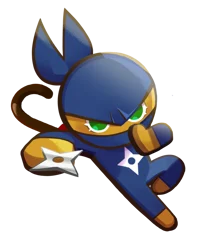 Ninja Cookie
