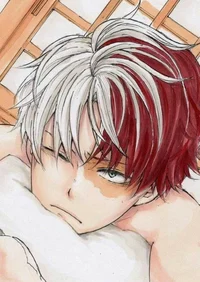 Shoto Todoroki alfa